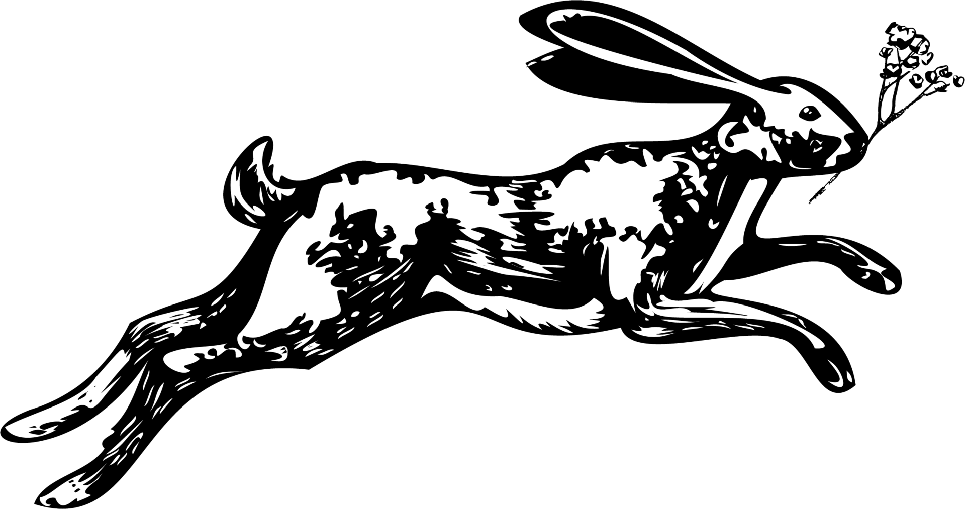 Logo du Terrier